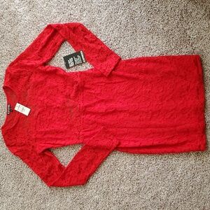 Express Lace Bodycon Dress